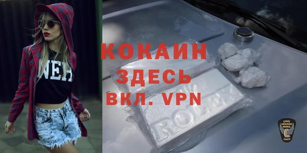 дживик Верея