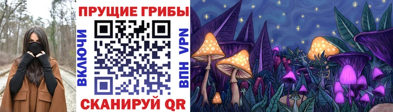 Галлюциногенные грибы Cubensis  Купить  Хотьково 